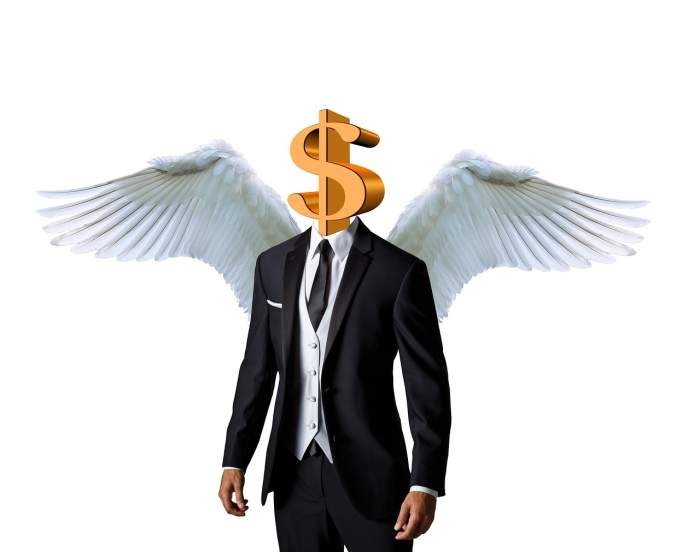 Bussiness Angels are one financing resources very popular for tv shows 